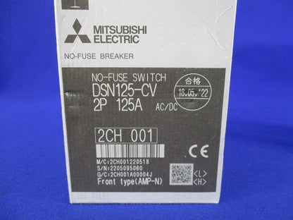 ノーヒューズスイッチ2P125A DSN125-CV