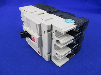 ノーヒューズスイッチ3P30A DSN32-SV