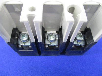 ノーヒューズスイッチ3P30A DSN32-SV