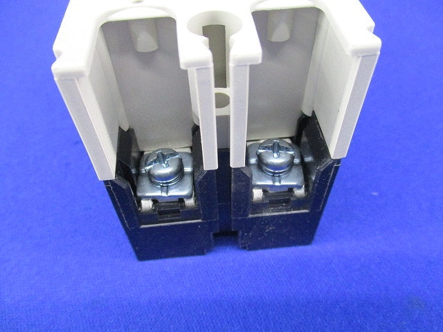 ノーヒューズブレーカ 2P30A　NF63-SV
