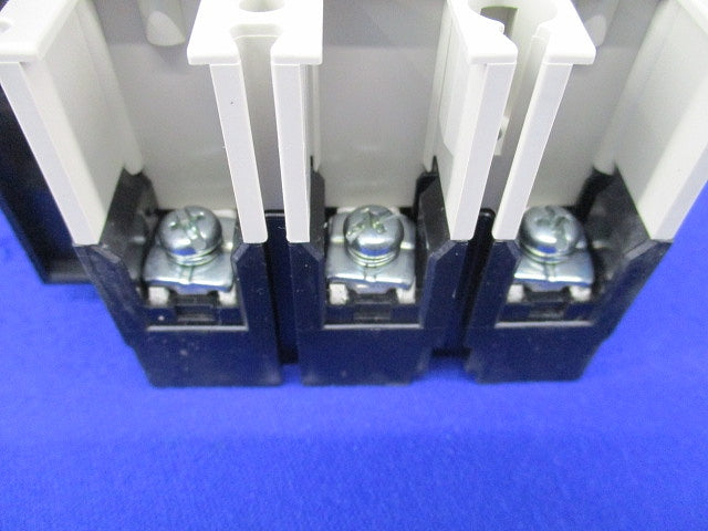 ノーヒューズスイッチ3P50A DSN63-SV