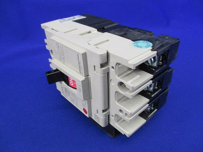 ノーヒューズスイッチ3P50A DSN63-SV