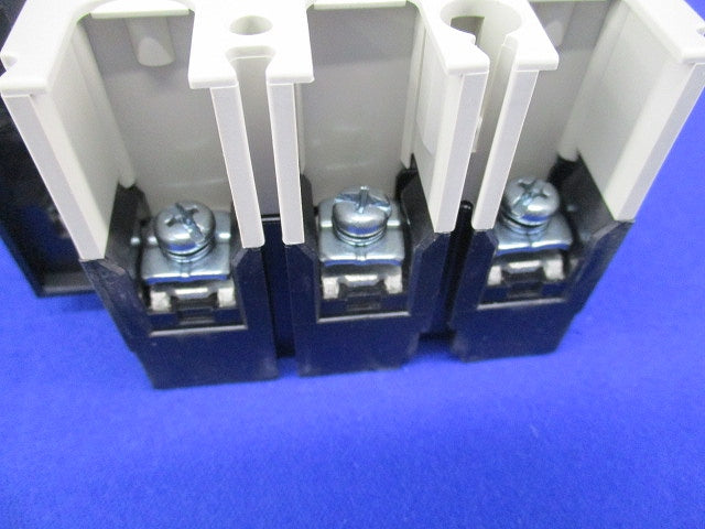 ノーヒューズスイッチ3P50A DSN63-SV