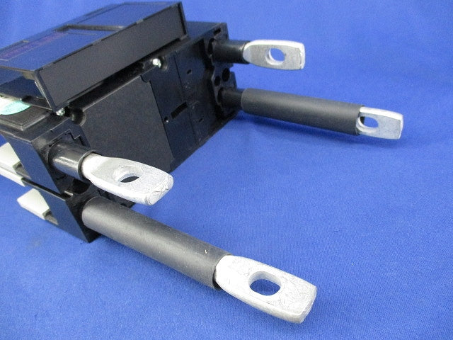 ノーヒュズブレーカ 2P125A NF125-CV