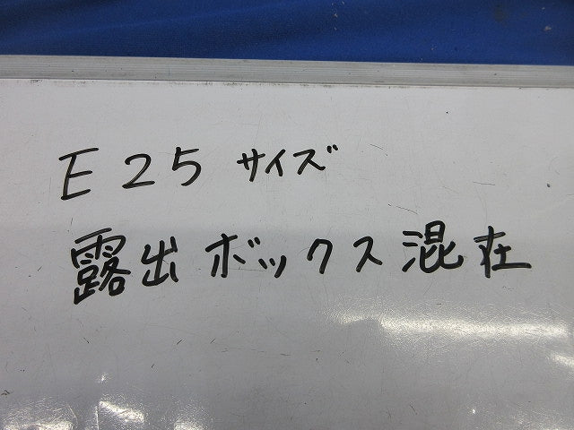 露出ボックスセット(混在3個入) E25