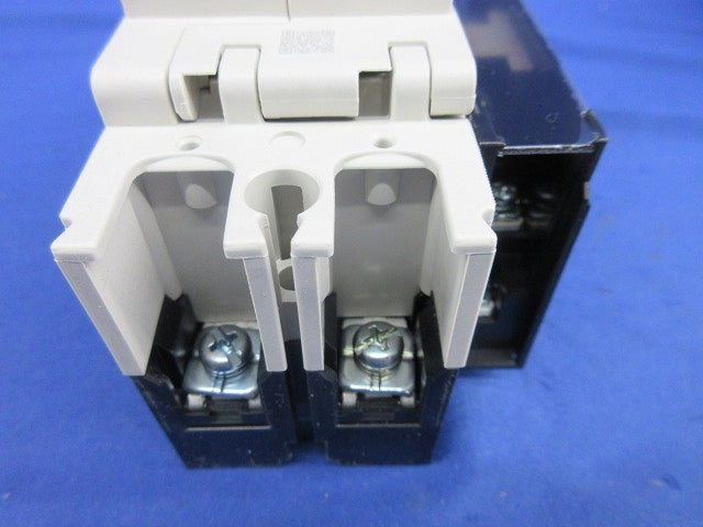 ノーヒューズブレーカ 2P30A(アラームスイッチ付) NF63-SV