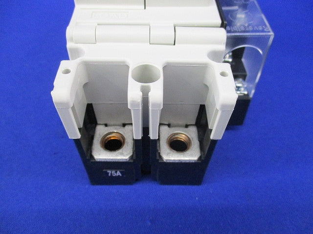 ヒューズフリー遮断器2P75A SXK125-C