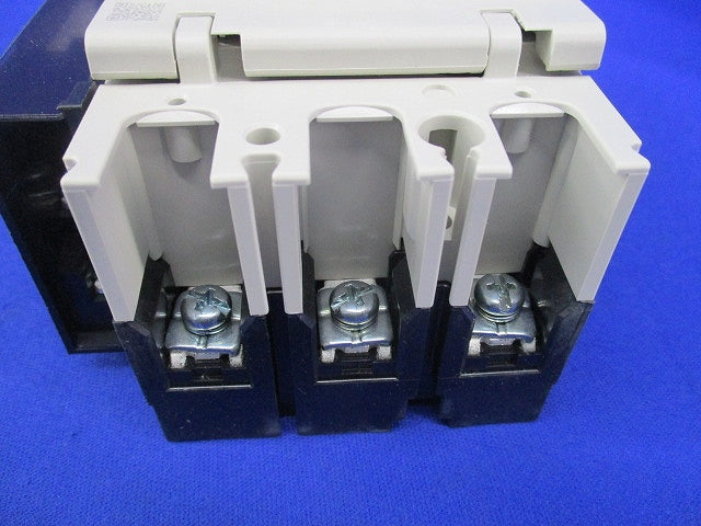 ノーヒューズスイッチ3P50A DSN63-SV