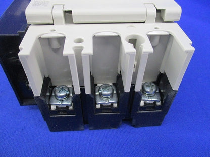 ノーヒューズスイッチ3P50A DSN63-SV