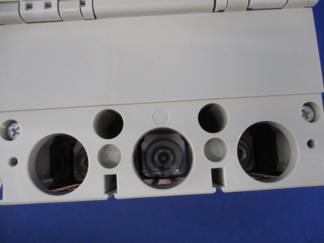 ノーヒューズブレーカ3P250A NF400-CW