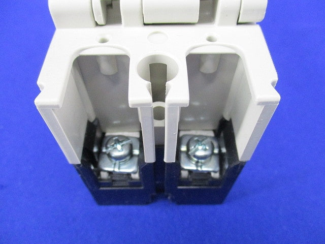 ノーヒューズブレーカ2P10A NF63-CV