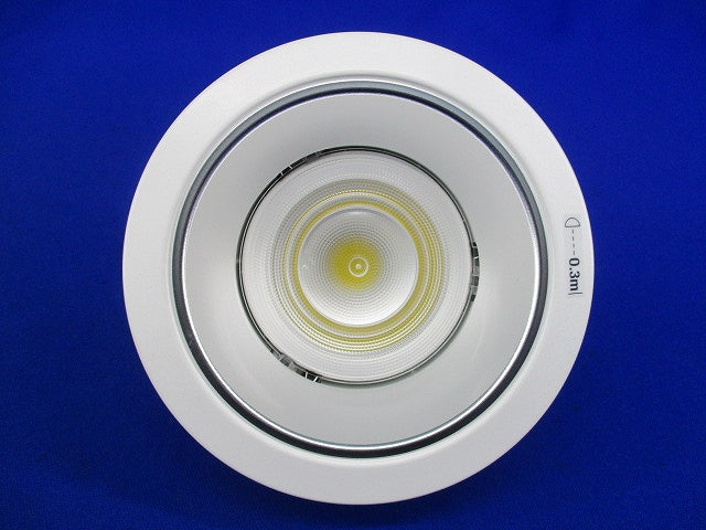 LEDダウンライトφ100(昼白色)電源ユニット無 NDN27300S