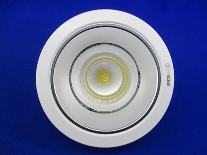 LEDダウンライトφ100(昼白色)電源ユニット無 NDN27300S