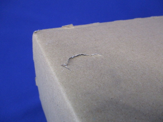 LEDベースライト本体のみ(2台入) NNLK42123