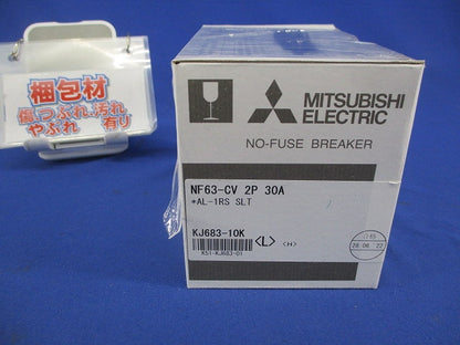 ノーヒューズブレーカ2P30A NF63-CV