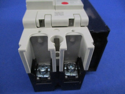 ノーヒューズブレーカ2P30A NF63-CV