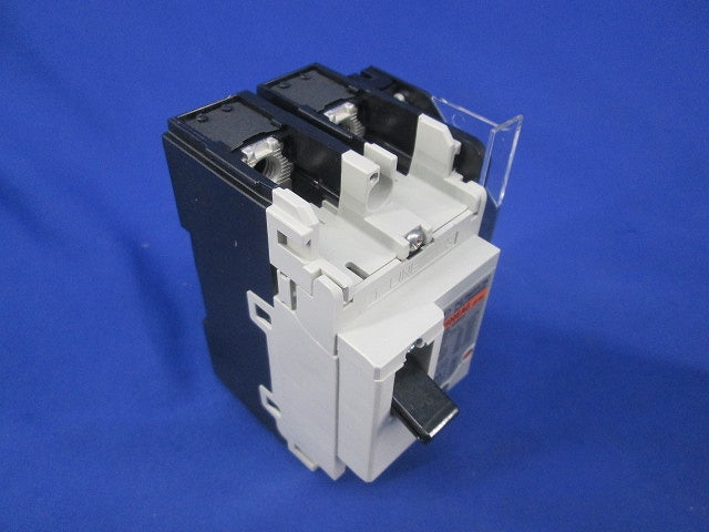 オートブレーカ2P100A BW100EAG