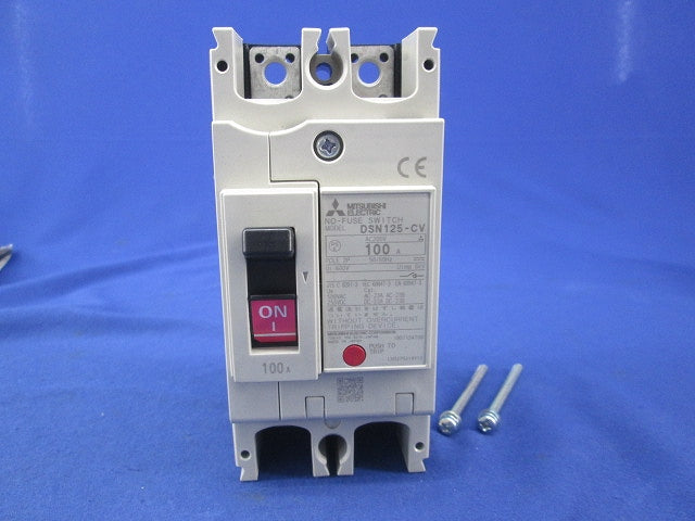 ノーヒューズスイッチ2P100A DSN125-CV
