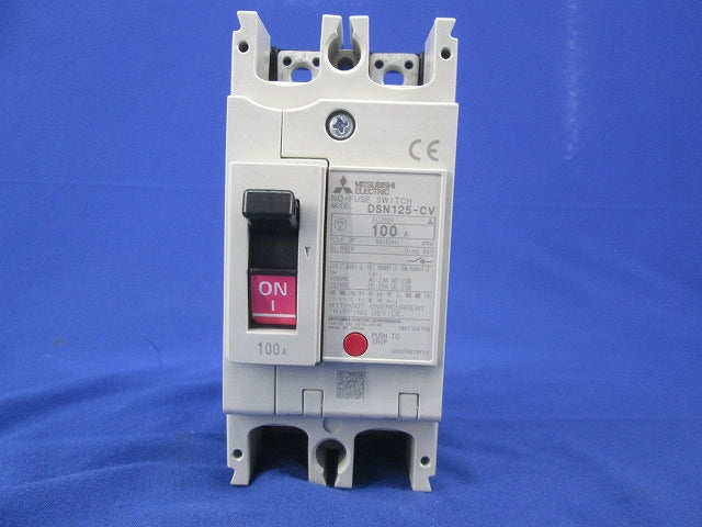ノーヒューズスイッチ2P100A DSN125-CV