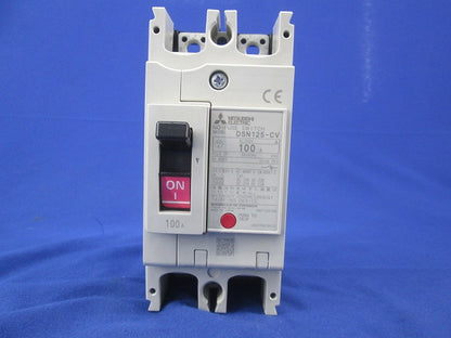 ノーヒューズスイッチ2P100A DSN125-CV