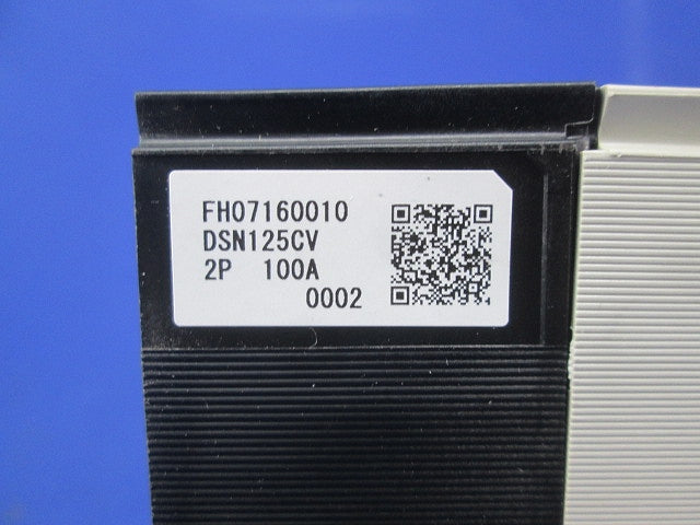 ノーヒューズスイッチ2P100A DSN125-CV