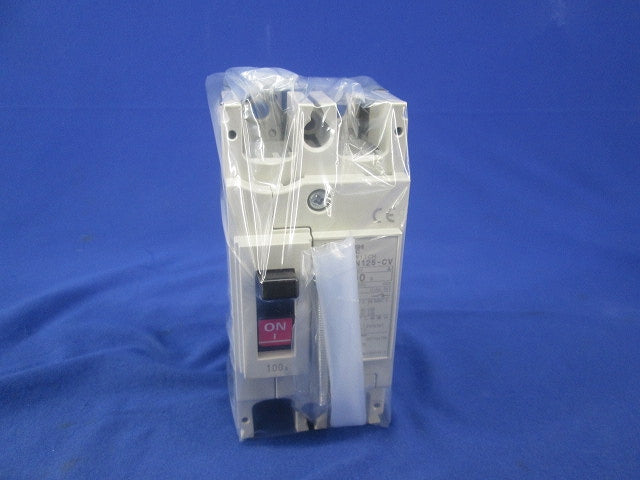 ノーヒューズスイッチ2P100A DSN125-CV