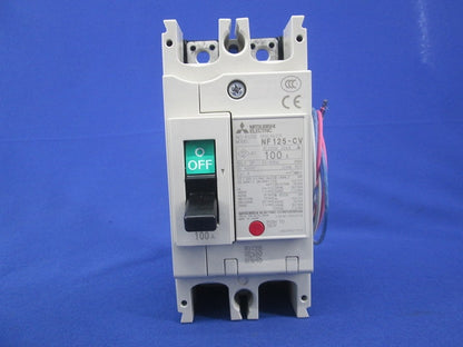 ノーヒュズブレーカ 2P100A NF125-CV