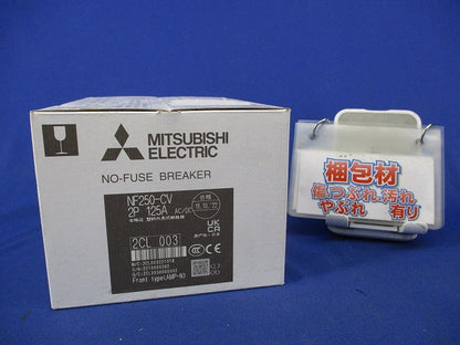 ノーヒューズブレーカ 2P125A NF250-CV