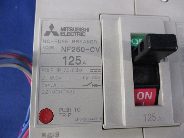 ノーヒューズブレーカ 2P125A NF250-CV