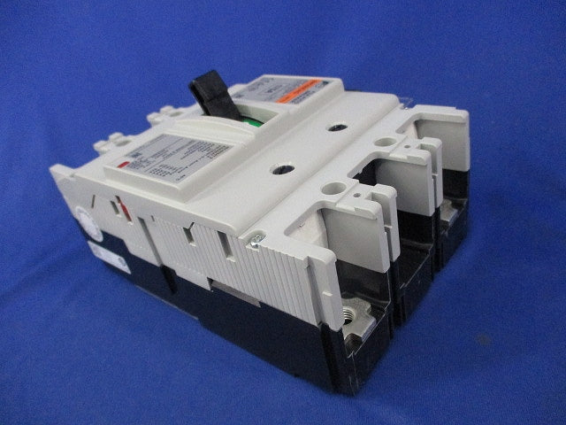 配線用遮断器2P175A BW250EAG-2P175
