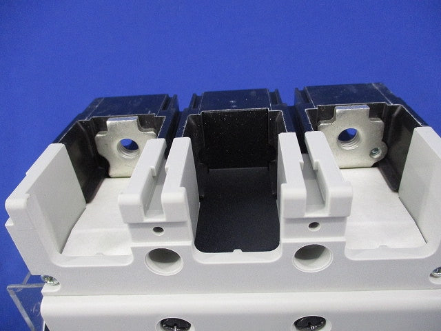 配線用遮断器2P175A BW250EAG-2P175