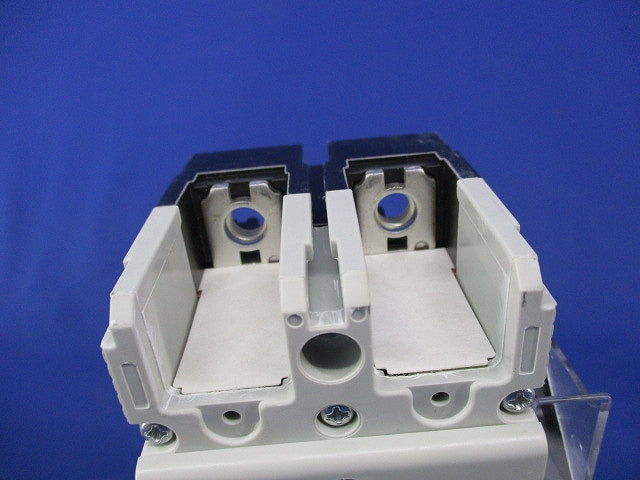 配線用遮断器2P125A BW125JAG-2P125