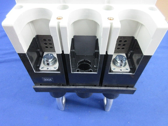 配線用遮断器 2P300A S-400S