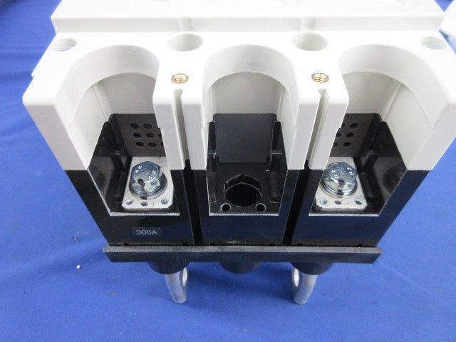配線用遮断器 2P300A S-400S