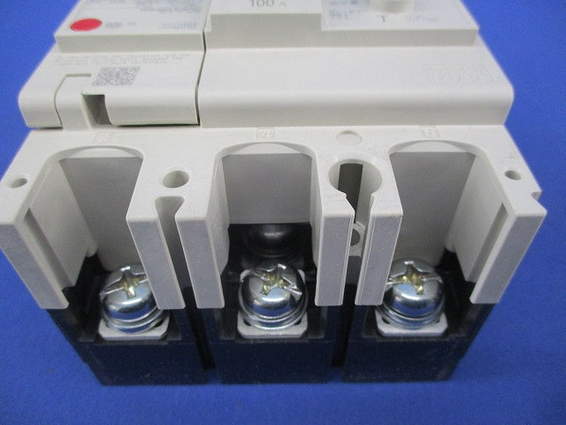 サーキットブレーカ 3P3E100A NV125-CV