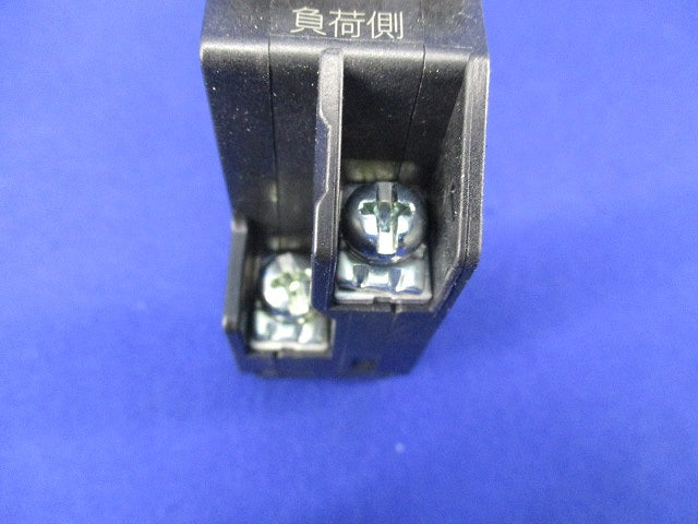 漏電ブレーカ2P2E30A GX52A