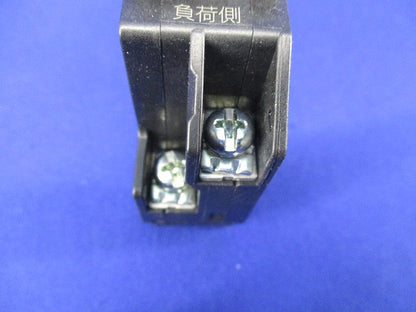 漏電ブレーカ2P2E30A GX52A