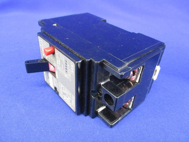 漏電遮断器2P2E20A NV50-KB