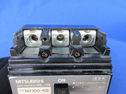 漏電遮断器 3P3E100A NV100-KB