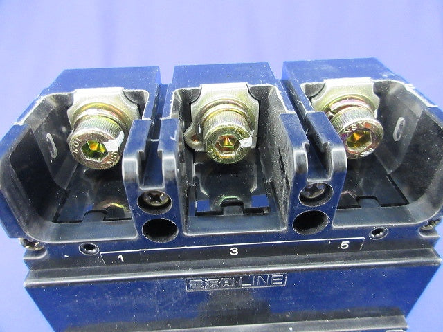 漏電遮断器3P150A SG203BAUL