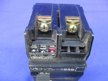 グリーンパワー リモコンブレーカ2P20A BR-30 BBR2-20-0
