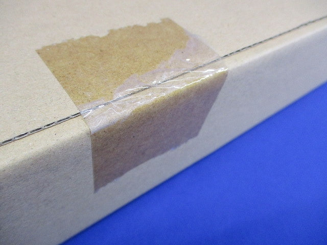 LED非常用ベースライト本体(22年製) LEETJ-42302-LS9