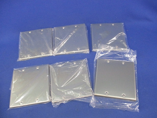 新金属カバープレート2連用(6枚入) WN7592