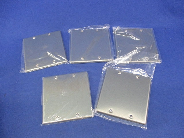 新金属カバープレート2連用(5枚入) WN7592