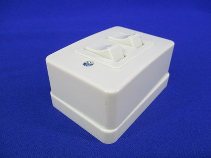 2連タンブラスイッチ(5個入) WS3900W