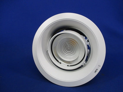 ユニバーサルダウンライト(電球色・広角タイプ) NNN66922W