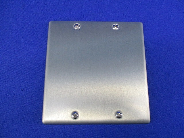 新金属カバープレート2連用(3枚入) WN7592