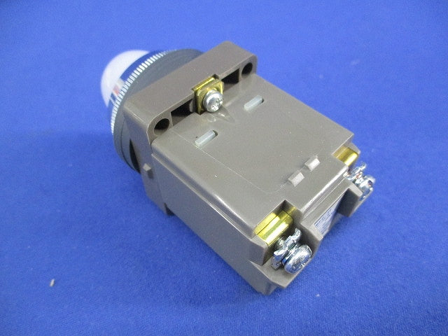 パイロットライトφ30(表示灯) APN116DNW