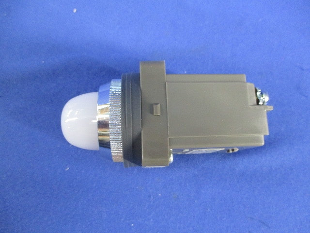パイロットライトφ30(表示灯) APN116DNW