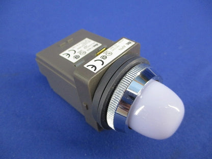 パイロットライトφ30(表示灯) APN116DNW